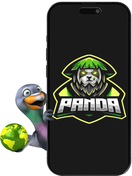 webnova Case Study Image